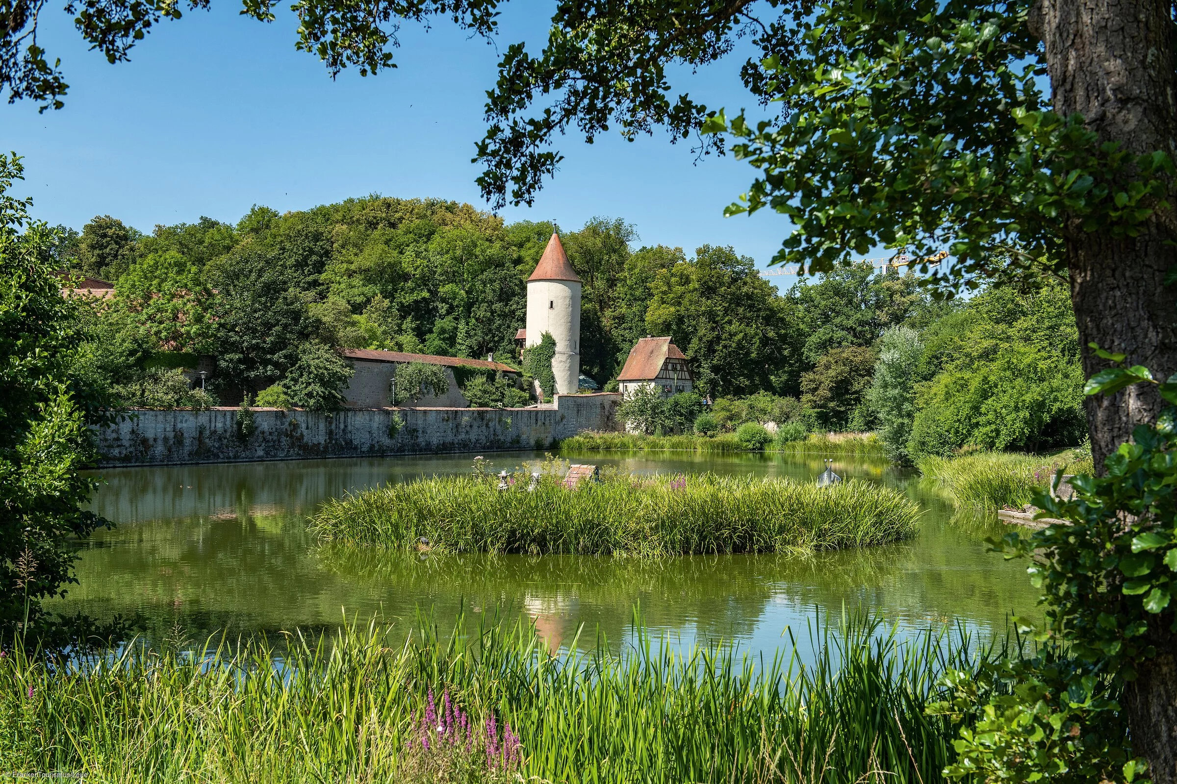 Parkanlage am Rothenburger Weiher (Dinkelsbühl/Romantisches Franken)