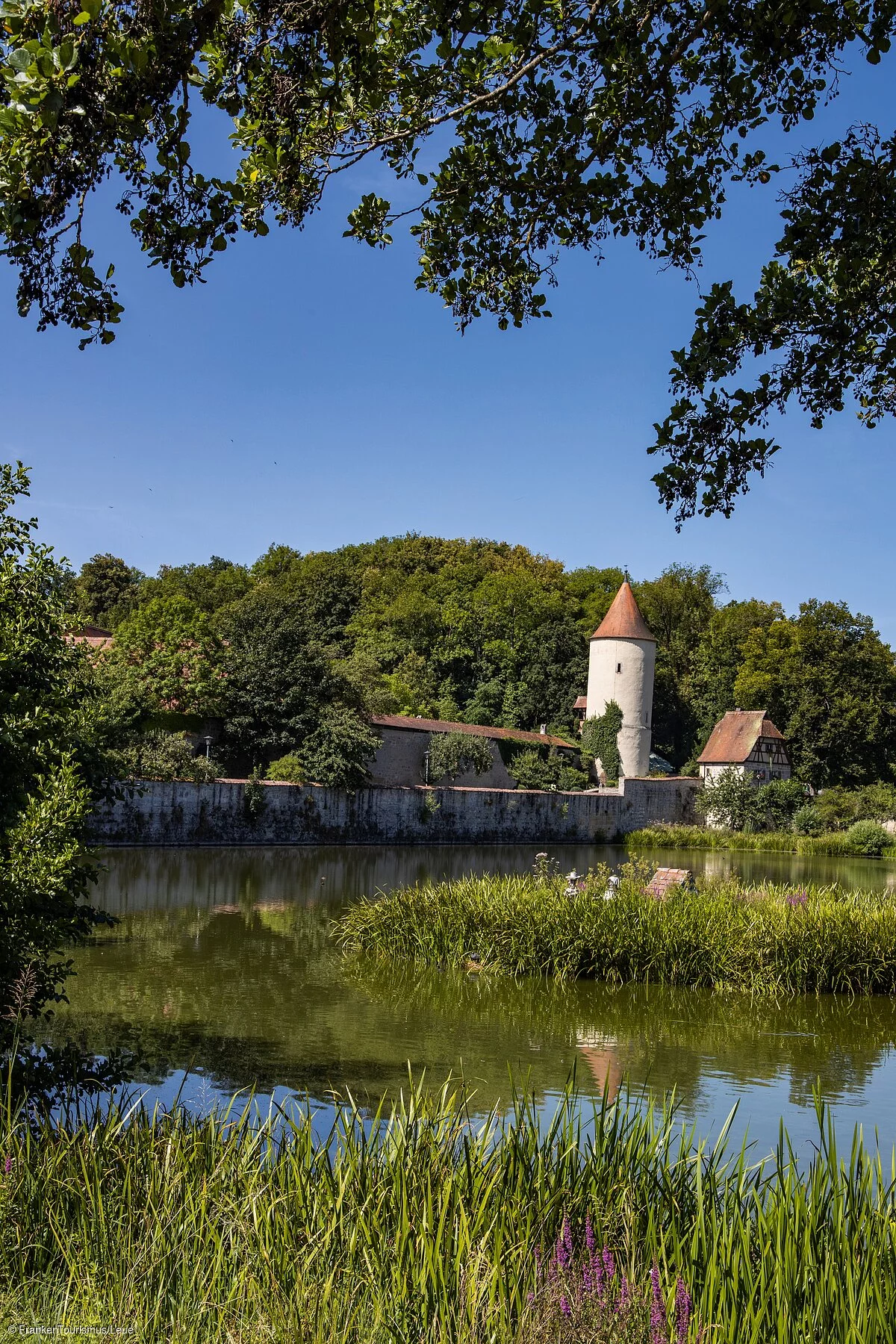 Parkanlage am Rothenburger Weiher (Dinkelsbühl/Romantisches Franken)