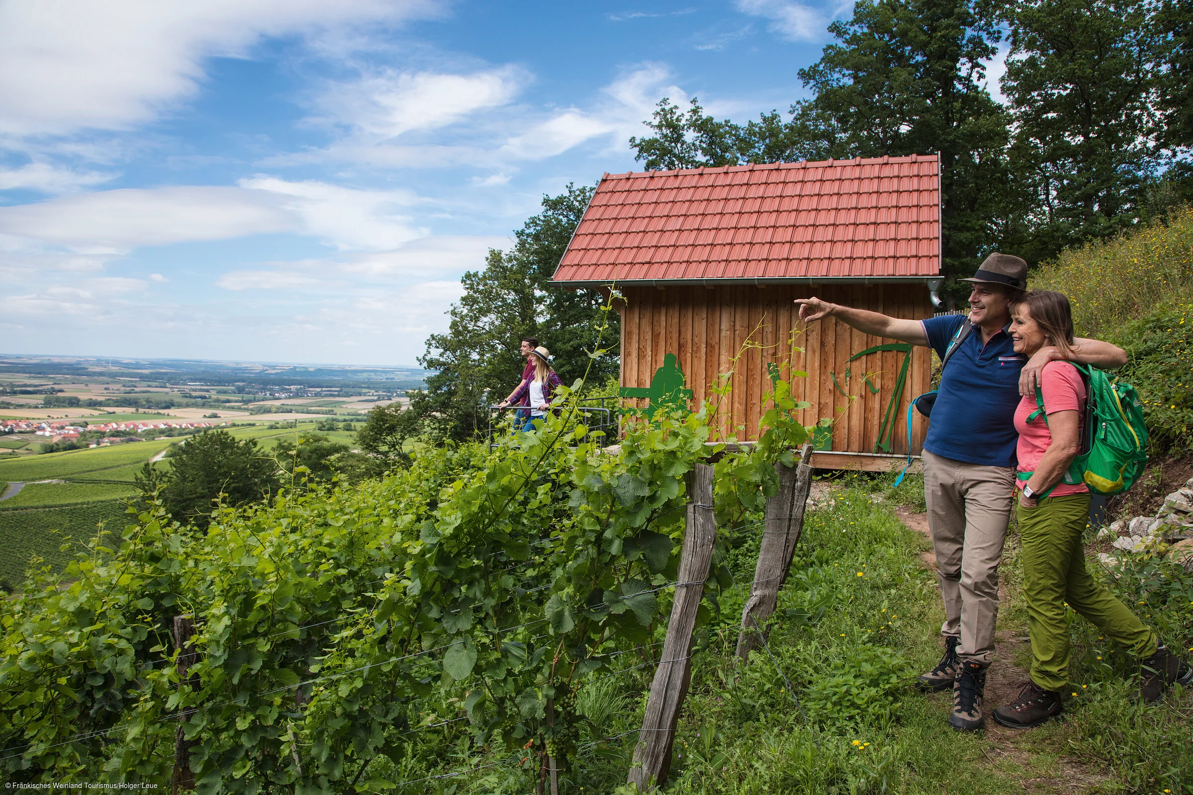 Geschichtsweinberg (Iphofen/Fränkisches Weinland)