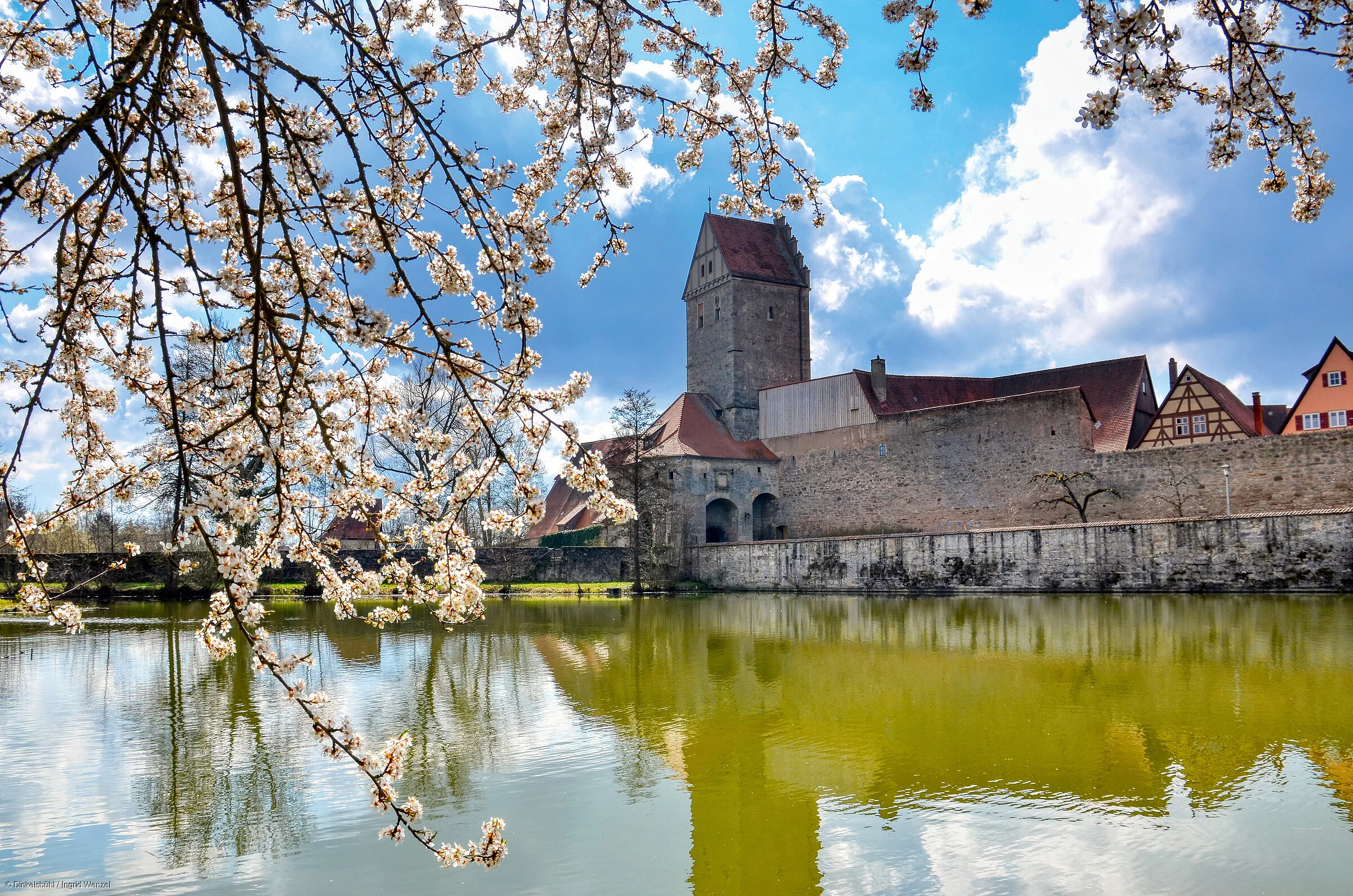 Rothenburger Weiher mit Rothenburger Tor (Dinkelsbühl/Romantisches Franken)