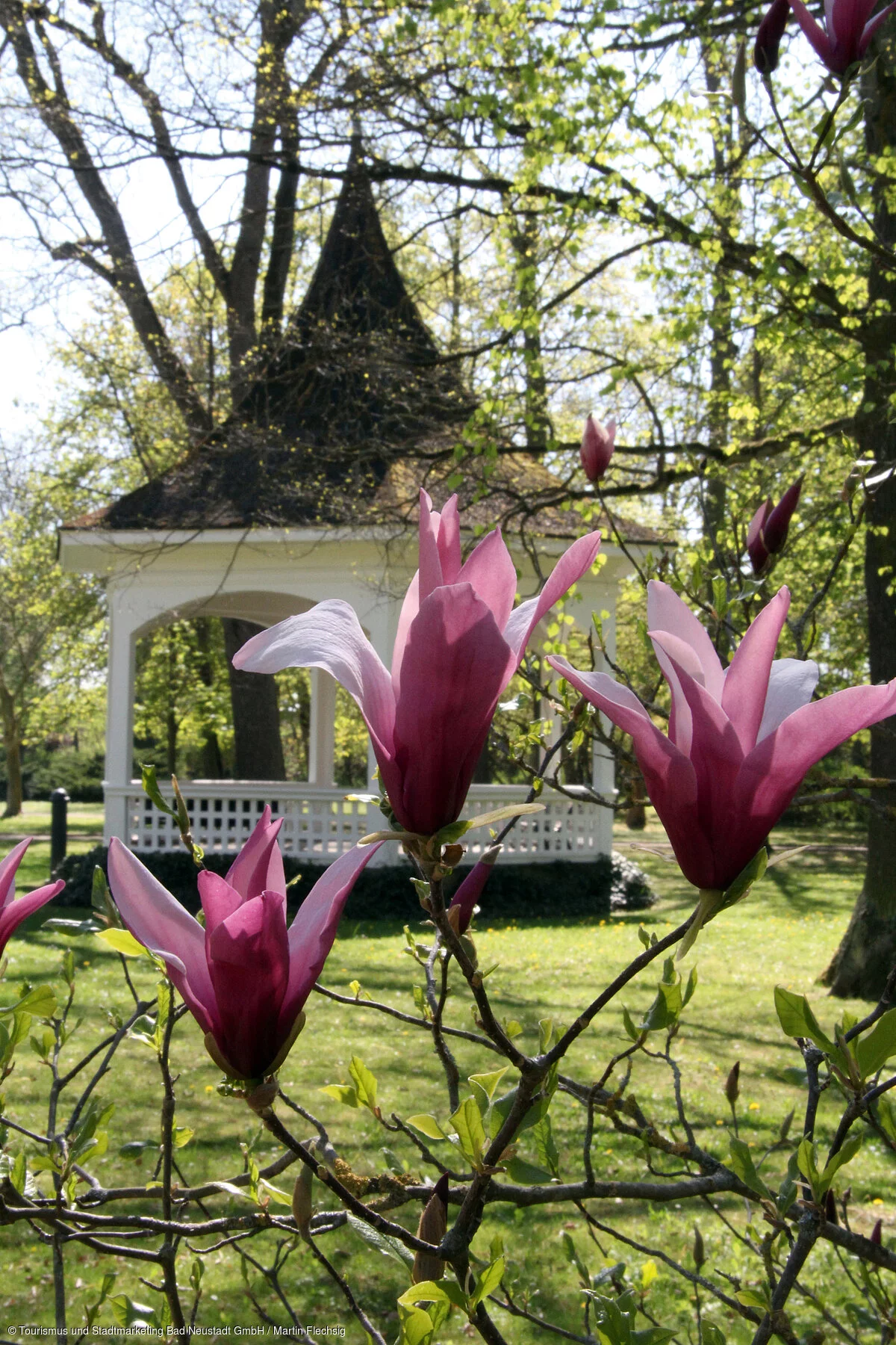 Pavillon im Kurpark im Frühling