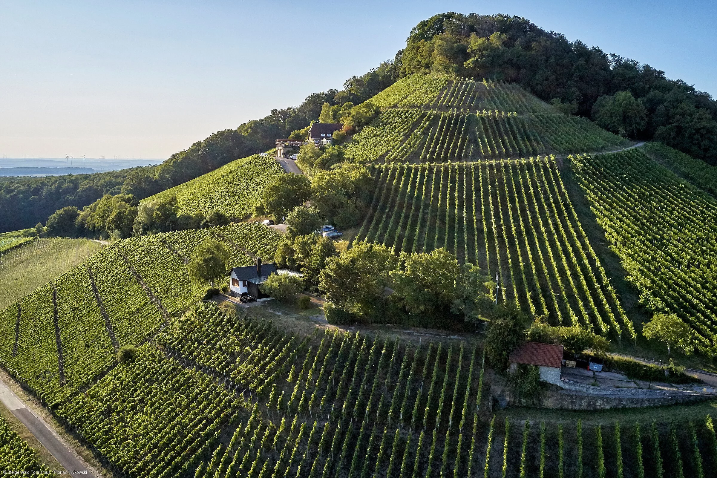 Stollberg (Oberschwarzach, Steigerwald)