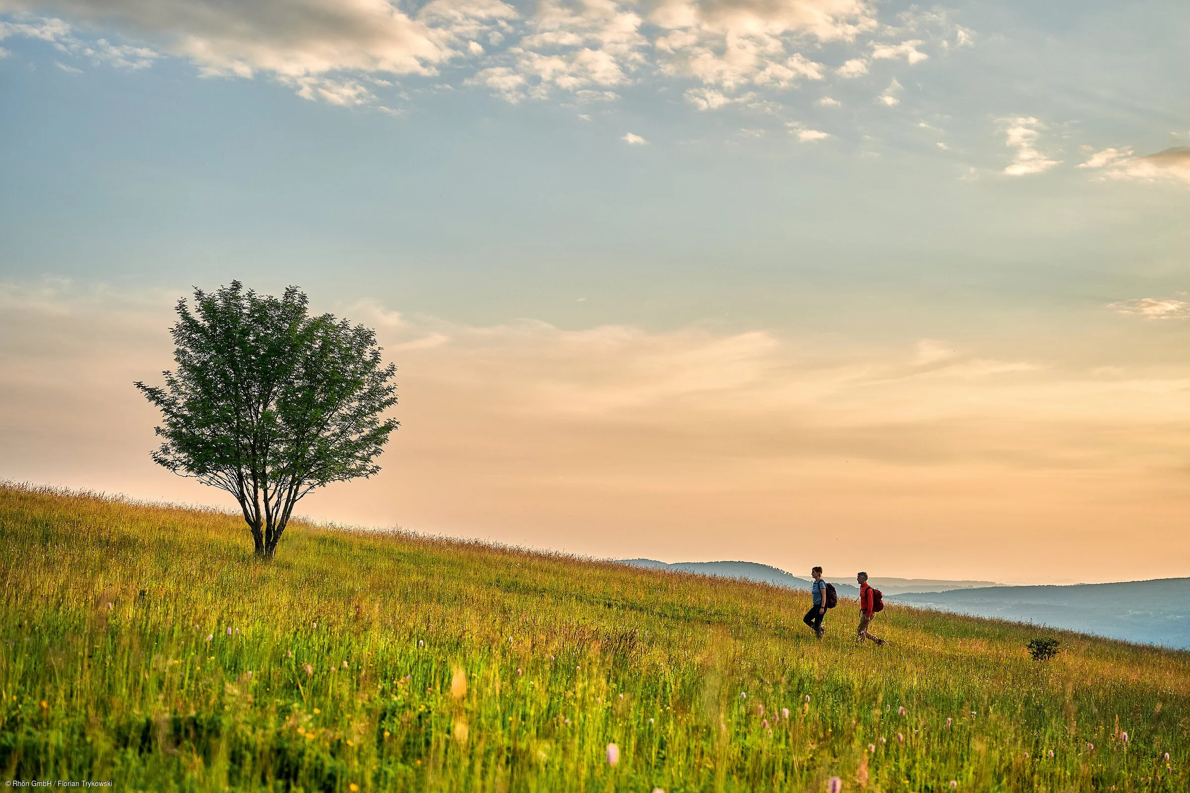 Wandern in der Natur