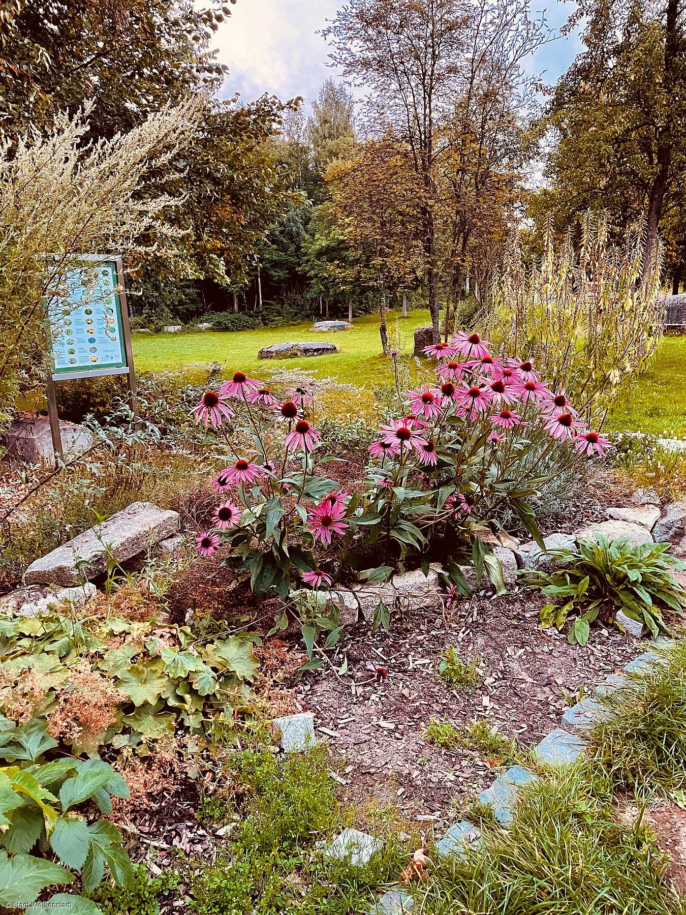 Kräutergarten im Kurpark Weißenstadt