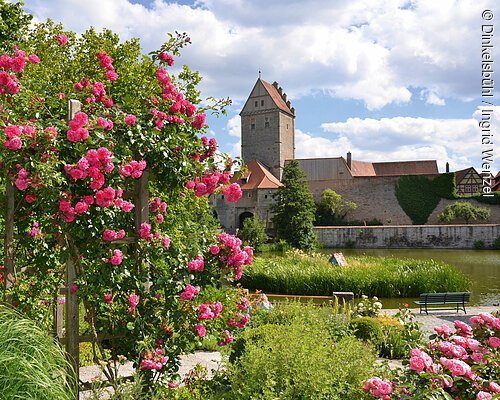 Rothenburg Tor (Dinkelsbühl, Romantisches Franken)