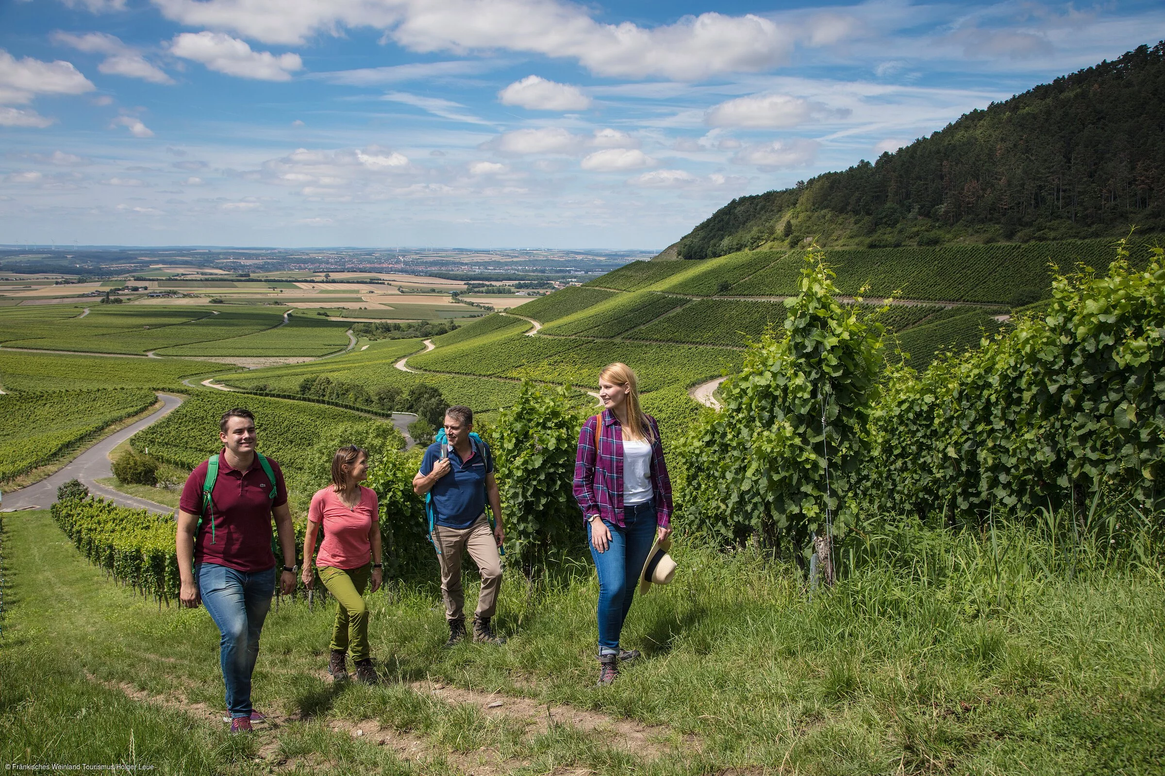 Wandern in den Weinbergen (Iphofen/Fränkisches Weinland)