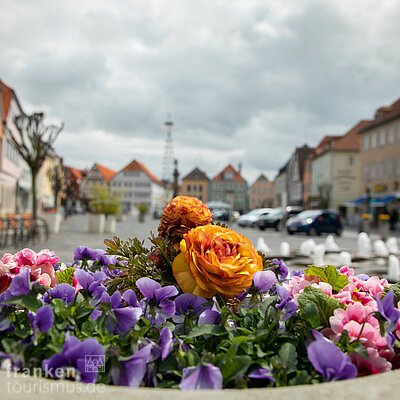 Frühling in der Stadt (Bad Neustadt a. d. Saale, Rhön)