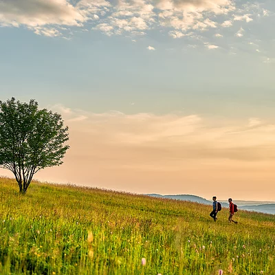 Wandern in der Natur