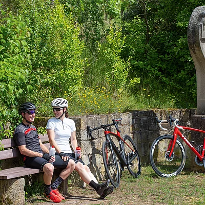 Radfahren durch die Weinberge (Abt-Degen-Weintal)