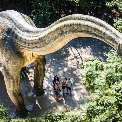 Dinosaurier Museum Altmühltal