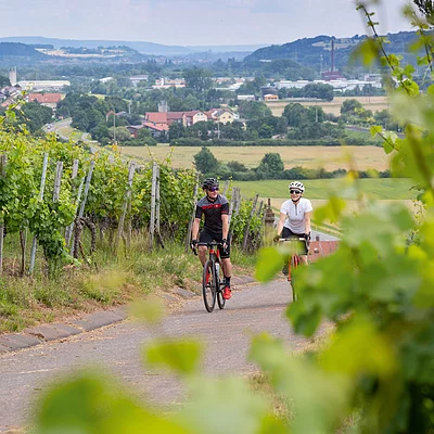 Radfahren durch die Weinberge (Abt-Degen-Weintal)