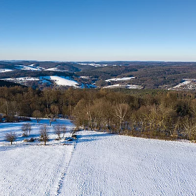 Spessartblick Schneelandschaft (Spessart-Mainland)