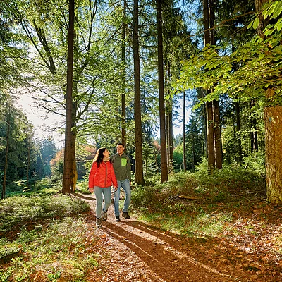 Wandern Kleiner Haberstein