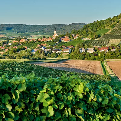 Ausblick auf Castell (Castell/Steigerwald)