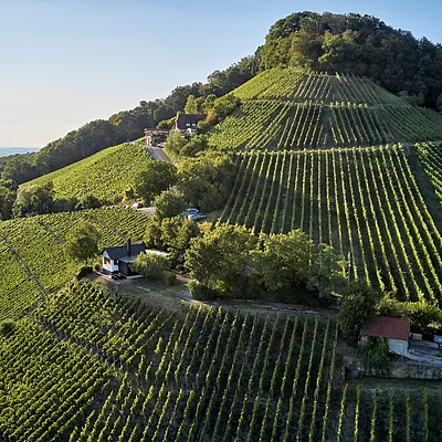 Stollberg (Oberschwarzach, Steigerwald)