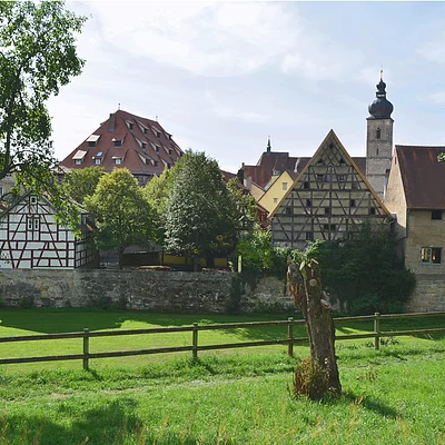 Altstadt aus dem Grünen (Forchheim / Fränkische Schweiz)