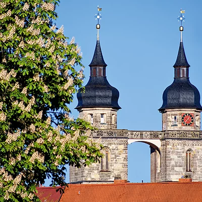 Stadtkirche - Türme