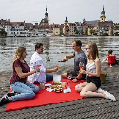 Picknick am Main (Kitzingen/Fränkisches Weinland)