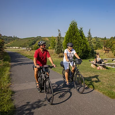 Radfahren auf dem Mainradweg (Dettelbach/Fränkisches Weinland)