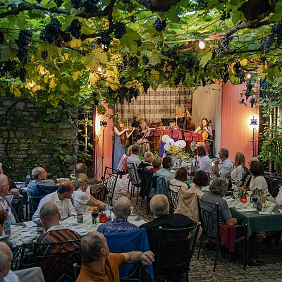 Weingenuss im Weingut Glaser-Himmelstoß (Dettelbach/Fränkisches Weinland)