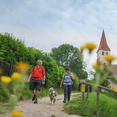 Wanderer mit Hund
