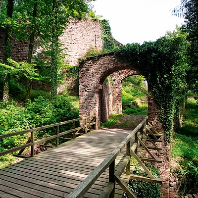 Burg Wildenstein (Eschau/Spessart-Mainland)