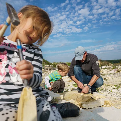 Fossiliensammeln im Besuchersteinbruch Mühlheim (Mörnsheim/Naturpark Altmühltal)