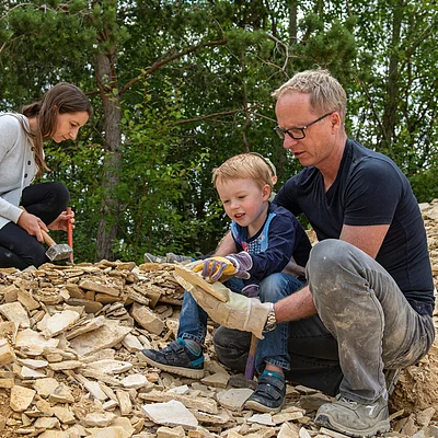 Fossiliensuchen Hobby-Steinbruch (Naturpark Altmühltal)