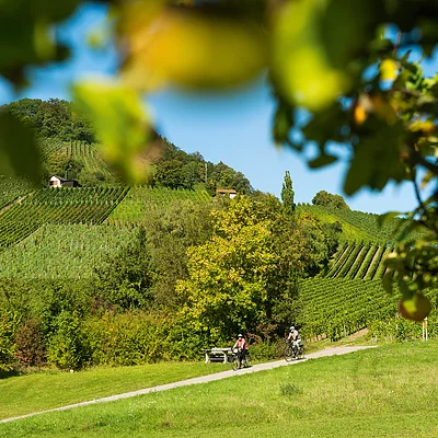 Radeln im Handthal (Oberschwarzach/Steigerwald)