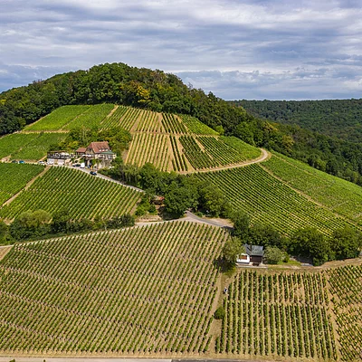 terroir-f Oberschwarzach-Handthal (Oberschwarzach/Steigerwald)