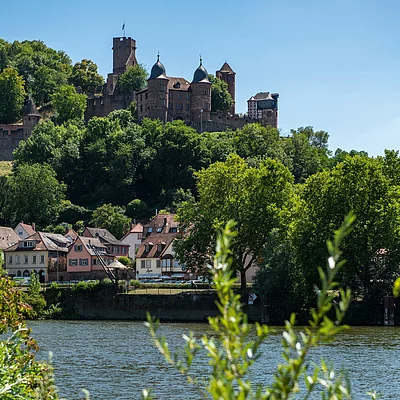 Burg Wertheim am Main (Wertheim/Liebliches Taubertal)