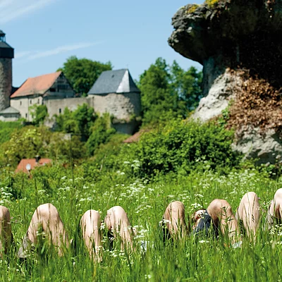 Felsengarten Sanspareil und Burg Zwernitz