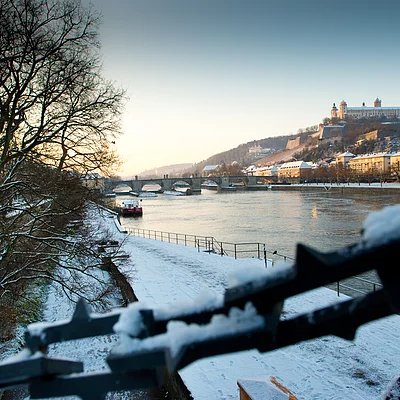 Blick auf die Festung Marienberg (Würzburg, Fränkisches Weinland)