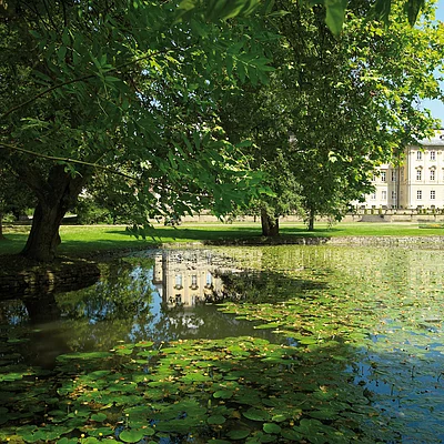 Teich Schloss Werneck