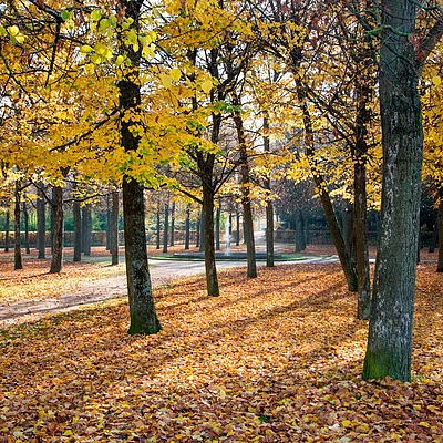 Hofgarten im Herbst (Ansbach, Romantisches Franken)