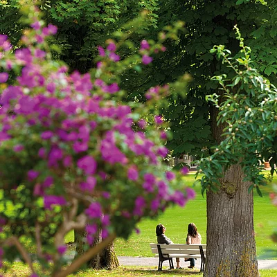 Kurpark - Impressionen