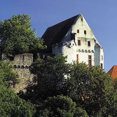 Burg Alzenau