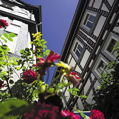 Klingenberg, Fachwerkhäuser