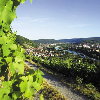 Weinberge bei Klingenberg