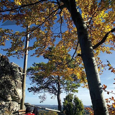 Aussichtsplatz Schlossberg bei Haidhof-Gräfenberg