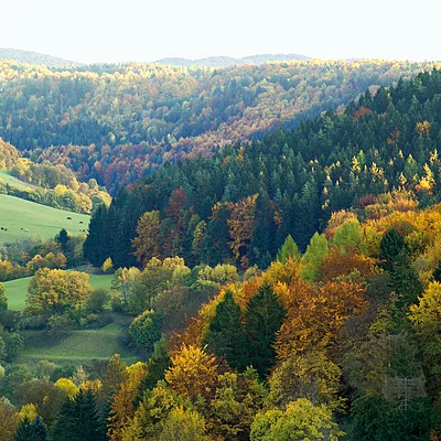 Burg Egloffstein, Blick aufs Trubachtal