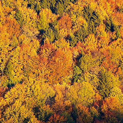 Burg Egloffstein, Blick aufs Trubachtal