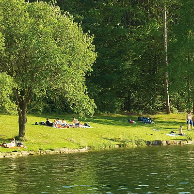 Ellertshäuser See