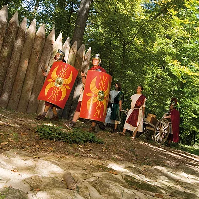 Römer im Burgstallwald