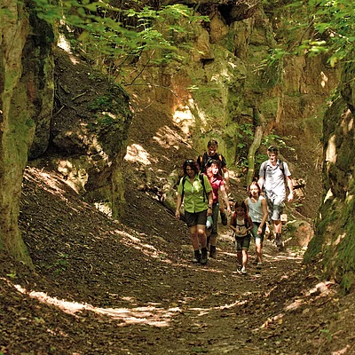 Wandern im Hechlinger Hohlweg (Fränkisches Seenland)