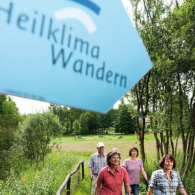 Heilklima-Wandern