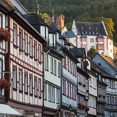 Fachwerkstadt (Miltenberg, Spessart-Mainland)