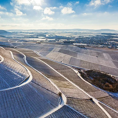 Weinberge im Winter