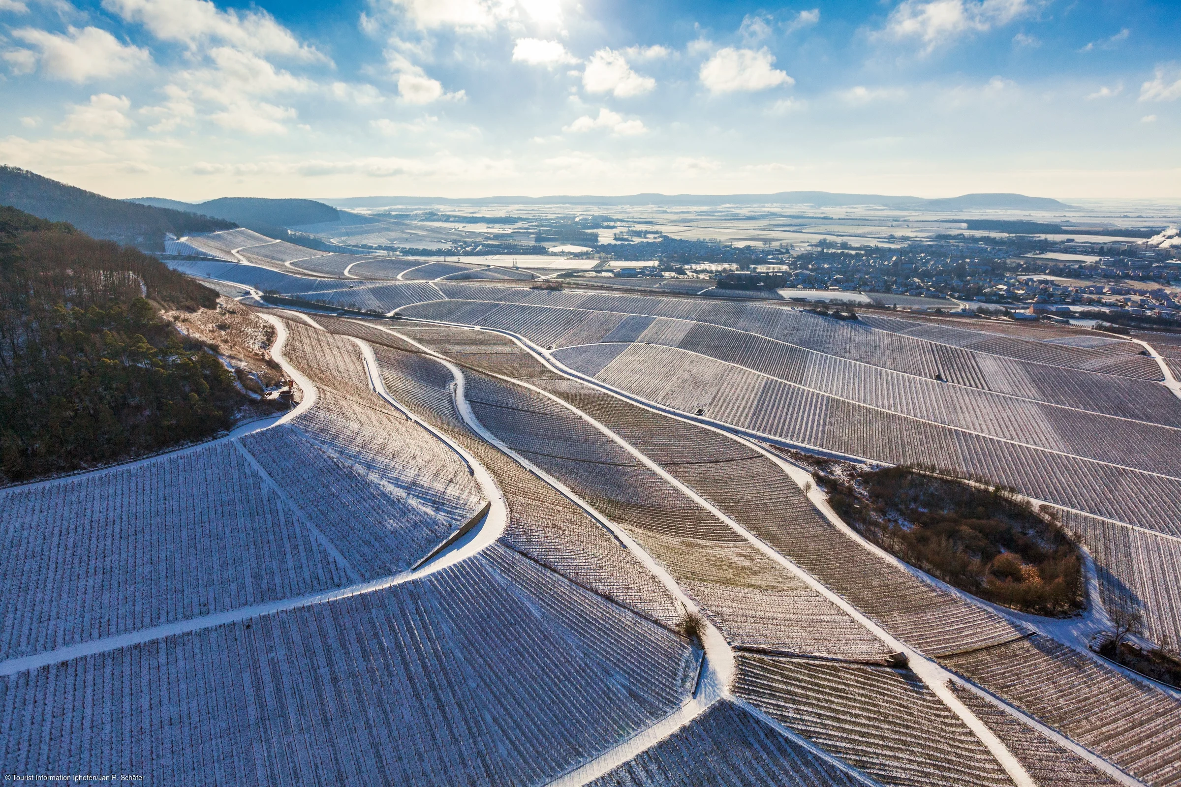 Weinberge im Winter