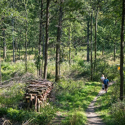 Gemeinschaftswälder